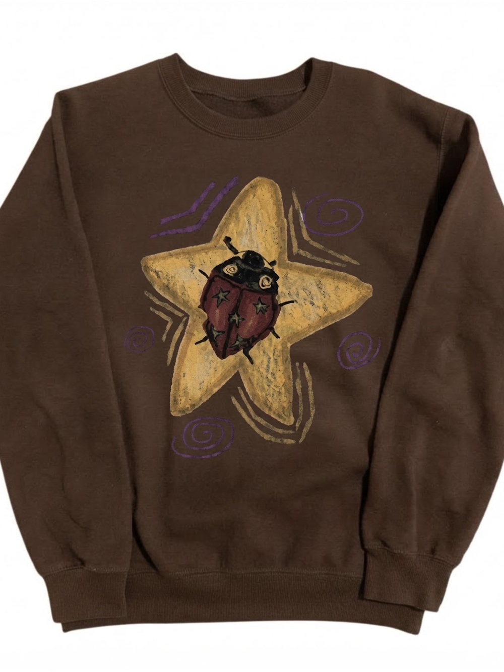 Brown Graphic Crewneck Sweater with Star & Ladybug, Gift For Him, For Her